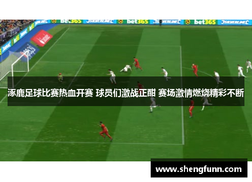 涿鹿足球比赛热血开赛 球员们激战正酣 赛场激情燃烧精彩不断