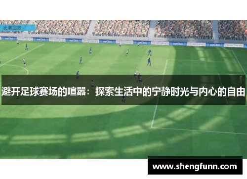 避开足球赛场的喧嚣：探索生活中的宁静时光与内心的自由